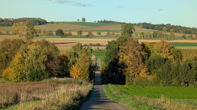 Blick von einem Hügel auf den anderen. Ein Landwirtschaftsweg führt steil hinunter.
