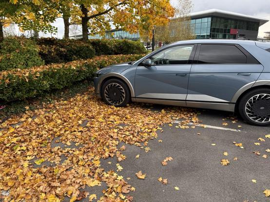 A blue car is parked on a gray surface, surrounded by a large pile of orange and yellow autumn leaves. In the background, there is a green shrubbery and a modern glass building.