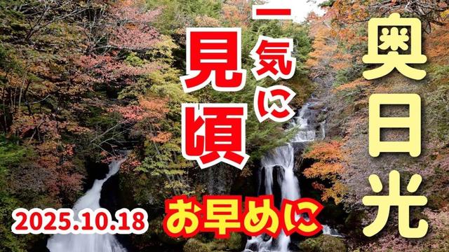 【栃木県 日光市】2025.10.18 金精峠、湯ノ湖、龍頭の滝 見頃に 日光の紅葉情報をお伝えします 超最新版