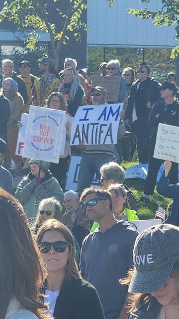 A crowd of peacefully preotesting people on the side of a hill. One holds a sign that reads I Am Antifa.
