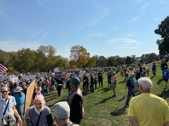 Panoramic photo from the top of a gently-sloping, green-grass hill on a blue-skied, sunny day. Looking downward towards a river, a large crowd of people holding protest signs, dressed in costumes. They are walking toward the camera