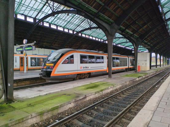 Wnętrze hali peronowej. Na wprost, przy sąsiednim peronie stoją dwa pociągi Siemens Desiro Classic, o smukłych kształtach, malowane na biało z pomarańczowymi krawędziami i drzwiami, i czarnym tyłem i wierzchem. Na bliższym widać logo "trilex", a wyświetlacz z tyłu nakazuje "Nicht einsteigen". Drugiego widać jedynie fragment w okolicy drzwi, z oznakowaniem miejsc dla osób niepełnosprawnych i rowerów na oknie. Na środku peronu dwa wyświetlacze z zielonym ekranem. Pociągi to 11:10 Bischofswerda i 11:23 Dresden Hbf. Pomiędzy peronami chodnik techniczny ze wspornikami dachu, od bliższej strony w dużym stopniu zabarwiony na zielono. Zadaszenie drewniane, przeszklone nad peronami.