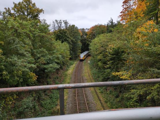 Jednotorowa, niezelektryfikowana linia kolejowa, otoczona gęstymi, zielonymi drzewami, widoczna z wiaduktu. Linia odbija łukiem w prawo, gdzie pomiędzy drzewami widać tył odjeżdżającego pociągu tego samego rodzaju.