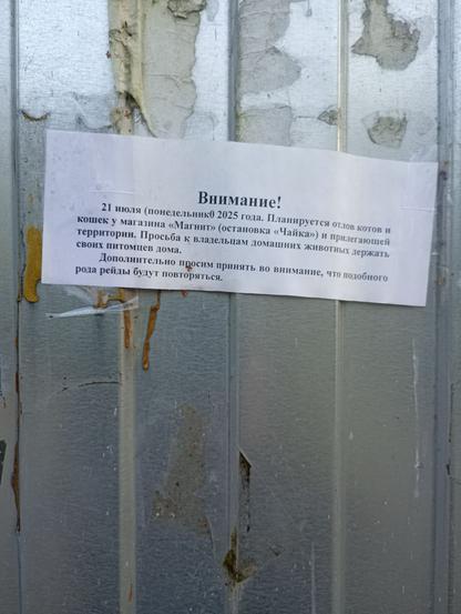 старое объявление на заборе об отлове котов!