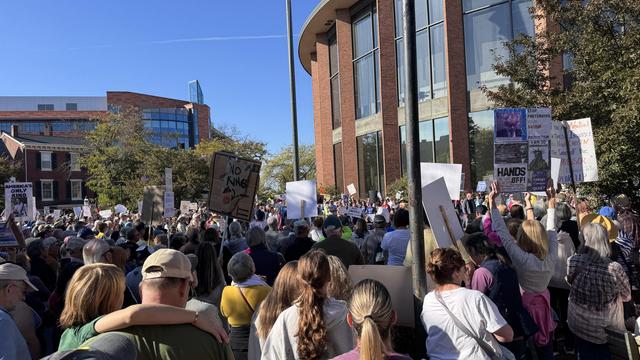 No Kings Protest & Rally in Doylestown, Bucks County, PA