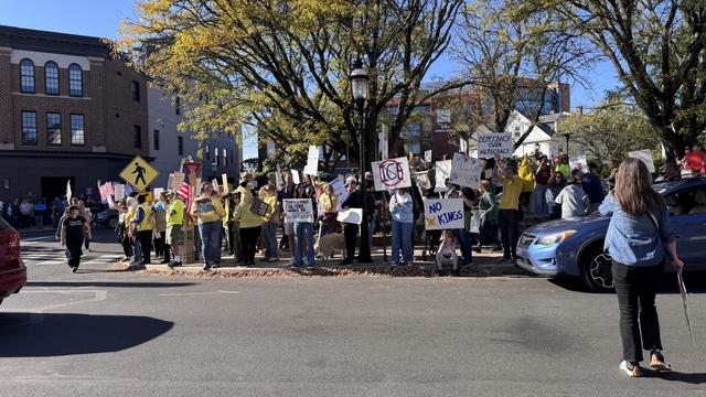 No Kings Protest & Rally in Doylestown, Bucks County, PA