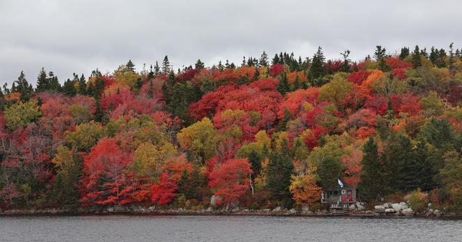 A small shed with grey shingles sits along the rocky shoreline of a lake along a rural road. The hill above the shed is covered in trees with a mix of dark evergreens and other trees in vibrant reds, orange, and gold.