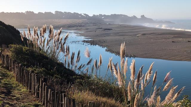 Gualala River meets the coastline. Pompous Grass along the shore. A wood fence is along left side.
