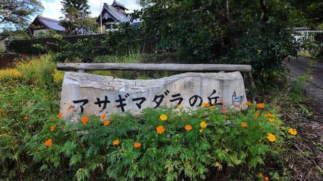 アサギマダラの丘