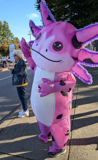 inflatable oxylotl spotted dancing energetically and blowing kisses to cars