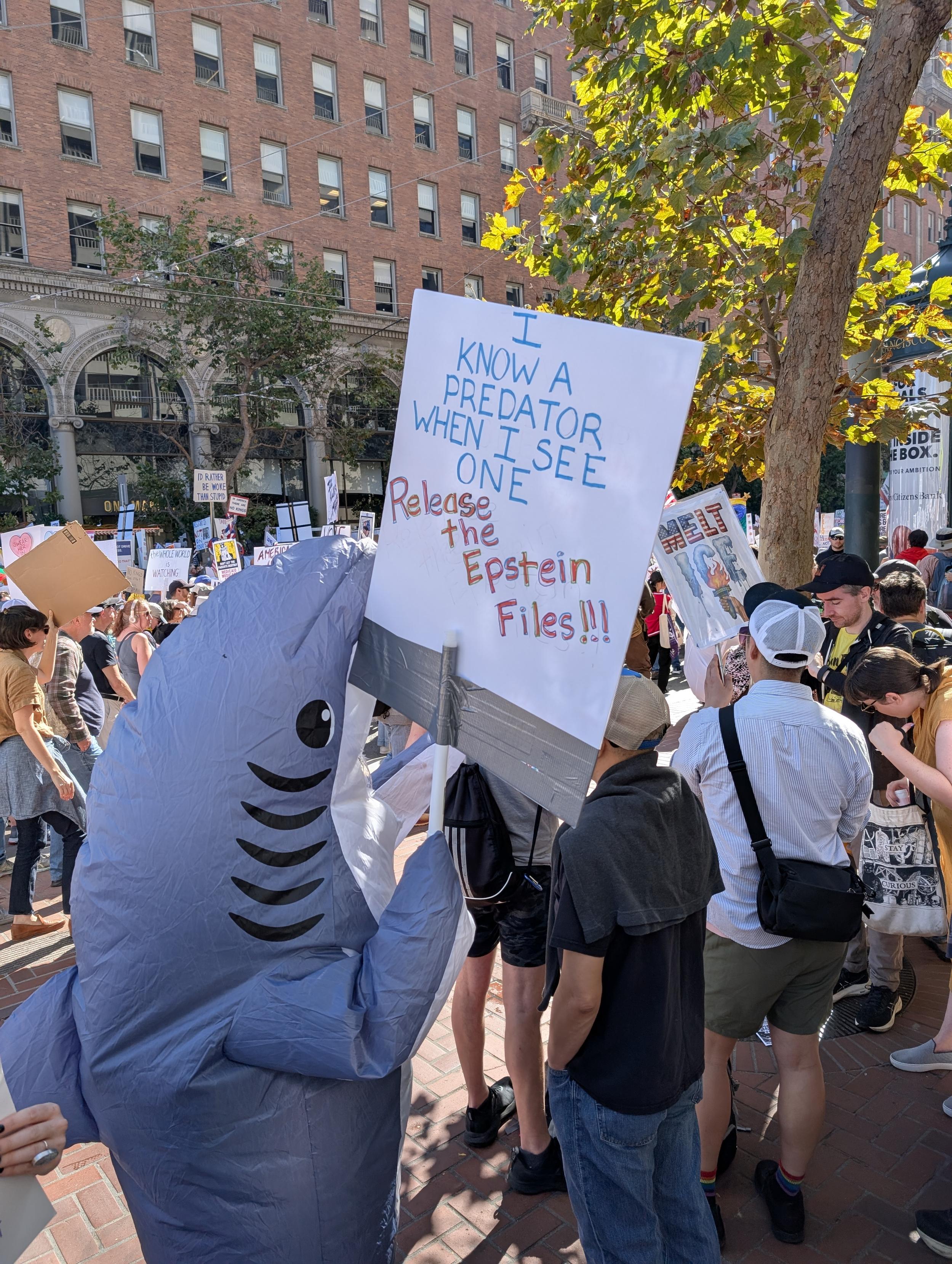 Inflatable shark with a sign reading "I know a predator when I see one, release the Epstein files!"