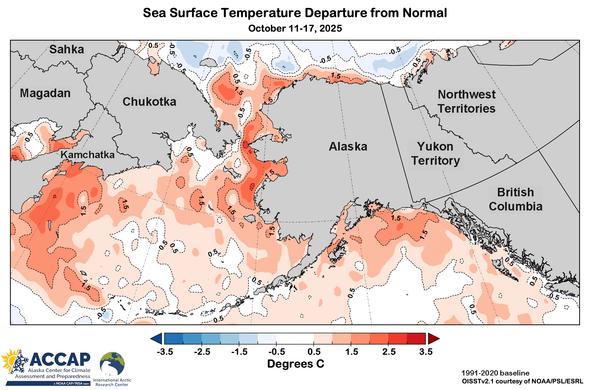 Map centered on Alaska showing the sea surface temperature departure from the baseline average for the week of October 11-17, 2025.