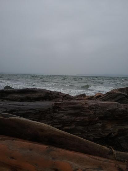 Looking out at Puget sound off the south beach of Camano Island 🏝️