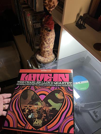 This photo captures a vinyl record collection scene with several interesting elements:

Main focus: A Charles Lloyd Quartet album - "Recorded Live at the Fillmore Auditorium in San Francisco" on Atlantic Records. The album cover features vibrant psychedelic artwork typical of the late 1960s, with swirling orange, pink, and purple patterns framing a photo of the band performing on stage.

Turntable setup: The record is being held over a modern turntable with a clear dust cover. The turntable sits on a wooden surface,part of an entertainment center.

Background details: A decorative figure with leopard-print patterns wearing what looks a pink outfit stands prominently in the background
Various vinyl records are stored vertically in a storage shelf. The lighting creates warm, ambient tones throughout the scene

Atmosphere: The image has a cozy, dimly-lit quality that evokes the intimate setting of a personal music listening space. The combination of vintage jazz vinyl and quirky home decor creates an eclectic, personal aesthetic.

This is my home music setup where I am playing this classic live jazz recording from the psychedelic era.