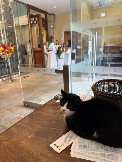 Black and white cat sitting on the welcome desk while altar servers prepare to start the service