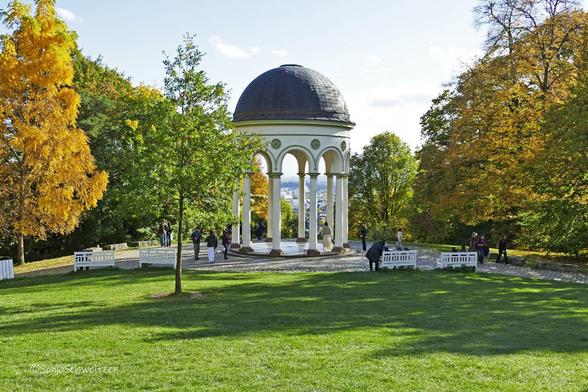Umrahmt von herbstlichen Bäumen, der Nerobergtempel
