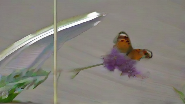 A butterfly with orange and black patterned wings is perched on a small purple flower, with green leaves and a blurred background.