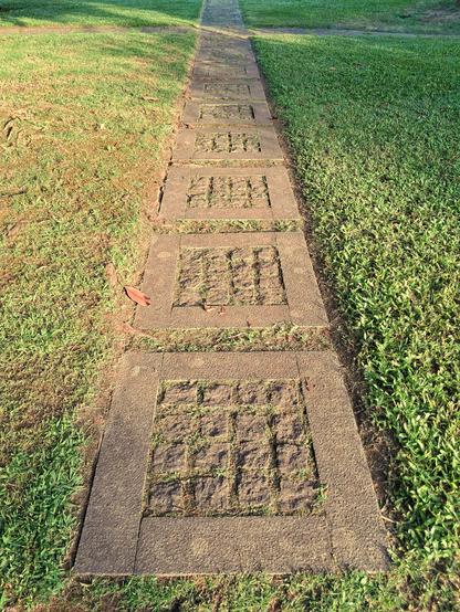 [pt] Caminho de pedra num relvado de jardim

[en] Stone path on a lawn