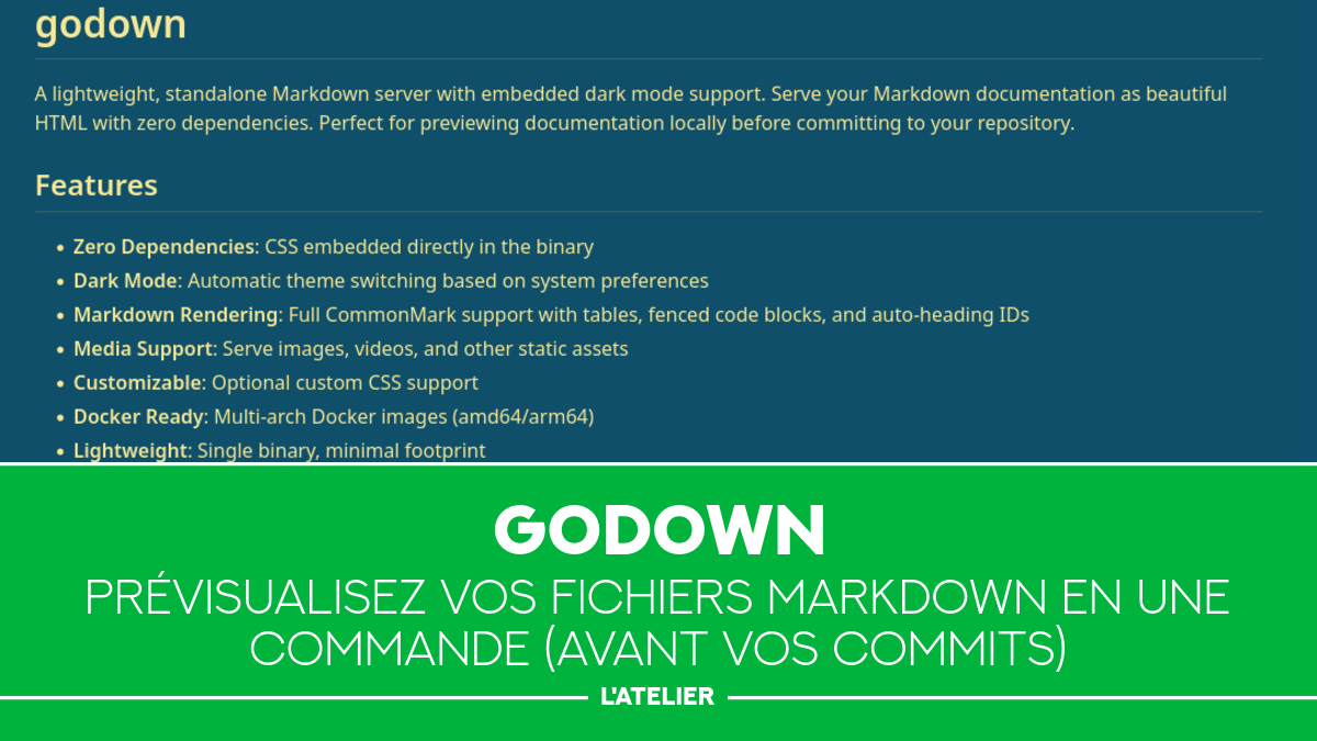 Slide d'une capture d'écran du résultat de l'outil godown
