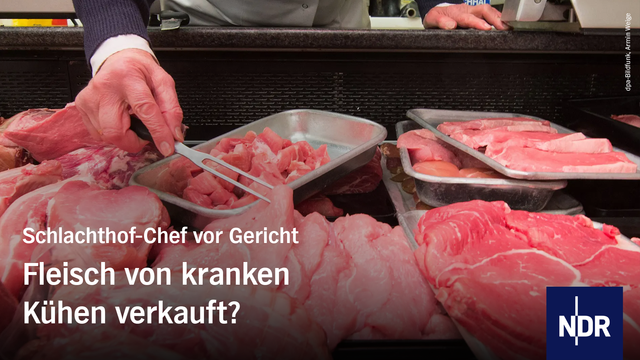 Text: Schlachthof-Chef vor Gericht
Fleisch von kranken Kühen verkauft?
Bild: Symbolbild einer Fleisch-Theke