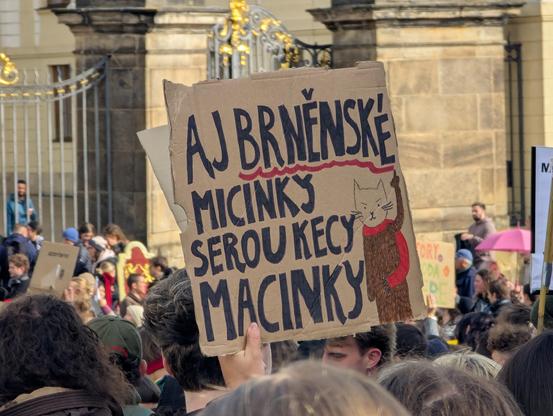 "Aj brněnské Micinky serou kecy Macinky"