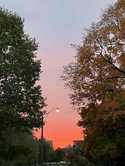 Trees line the city street with a single lit street lamp mid frame. Background sky starts deep red orange at horizon blending up through pink to lavender at top of image