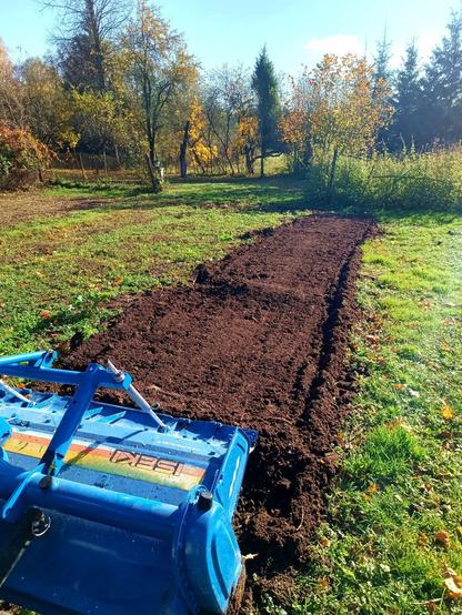 The rotavator at work, having done one row of perfectly level fluffy soil, except there is a bump in it where it hit a buried brick. The row is somewhat crooked because someone can't steer their tractor straight.