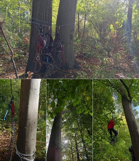 Fotos van bos, klimspullen en klimmer