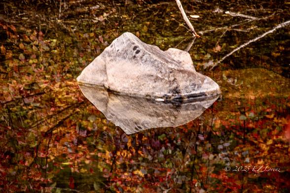 Found this intimate scenery on our recent roundtrip along Hwy 2 in Washington state with a large rock sitting in a calm creek, perfectly mirrored by its reflection along with the surrounding leaves in vibrant autumn colors adding warmth to the scene.