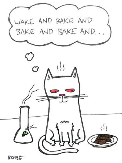 a cat with red eyes sits between a bong and a plate of cookies and thinks "wake and bake and bake and bake and..."