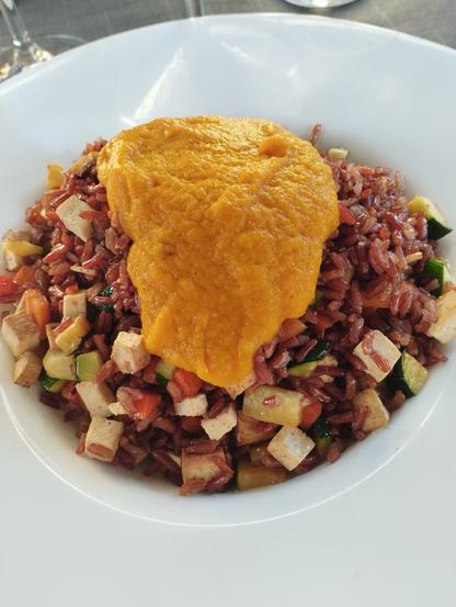 Una vista de cerca de un plato de comida servido en un recipiente de cerámica blanca con bordes anchos. El plato contiene una base de arroz rojizo, posiblemente integral, mezclado con trozos de calabacín verde oscuro, zanahoria o pimiento naranja, y cubos de tofu de color beige claro. En el centro, una generosa porción de puré espeso y cremoso de color naranja brillante corona la preparación. La imagen ofrece una perspectiva cenital de una comida saludable y vibrante.