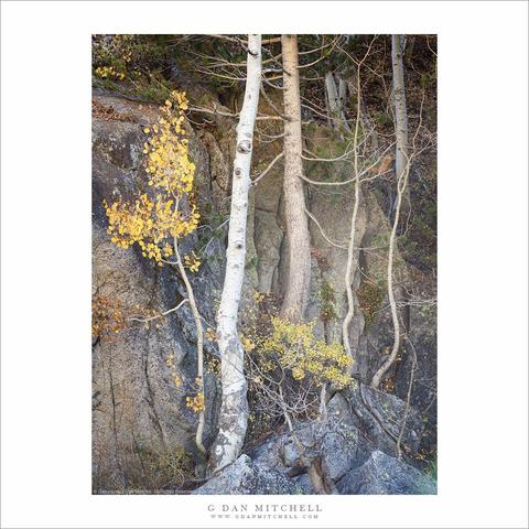 Rocks and autumn foliage