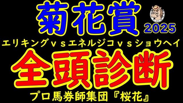 菊花賞2025一週前レース予想全頭診断！ダービー馬や皐月賞馬が不在のレースにて悲願のＧ１勝利を達成したい馬は？神戸新聞杯を勝ったエリキングか？青葉賞馬エネルジコか？京都新聞杯の勝ち馬ショウヘイか！？