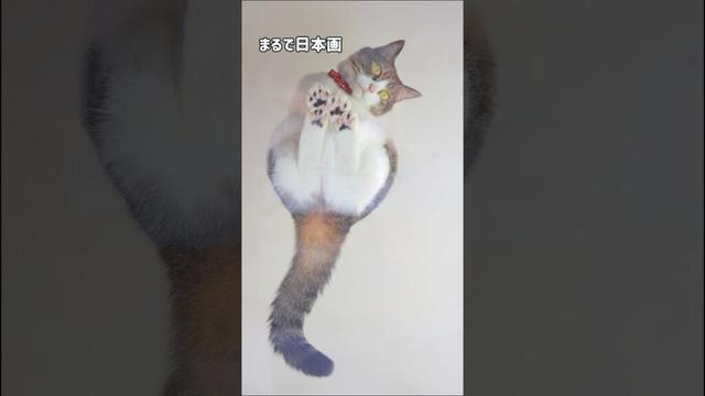 いろんな顔を持つ猫ピーチ｜おもしろカンフーポーズから美しい日本画ポーズまで披露
