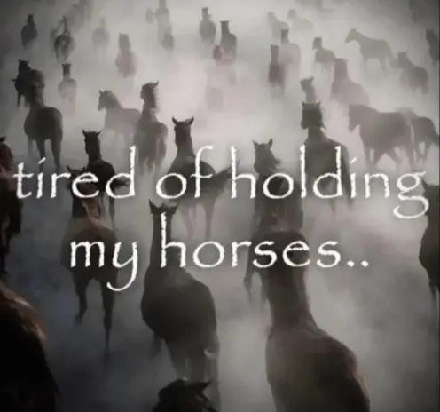 Image with a horde of horses captioned "tired of holding my horses..."