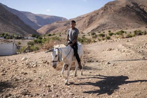 Un jeune bédouin palestinien sur son âne à Ras Ein al-Auja, dans la vallée du Jourdain, en Cisjordanie occupée, le 30 septembre 2025
© JOHN WESSELS / AFP/Archives