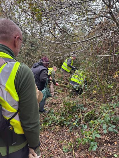 Volunteers hard at it - cutting through dense vegetation to open this footpath back up for the first time in 20 years.