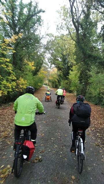 People cycling along a road between trees with leaves falling, including e-bikes and a hand-cycle