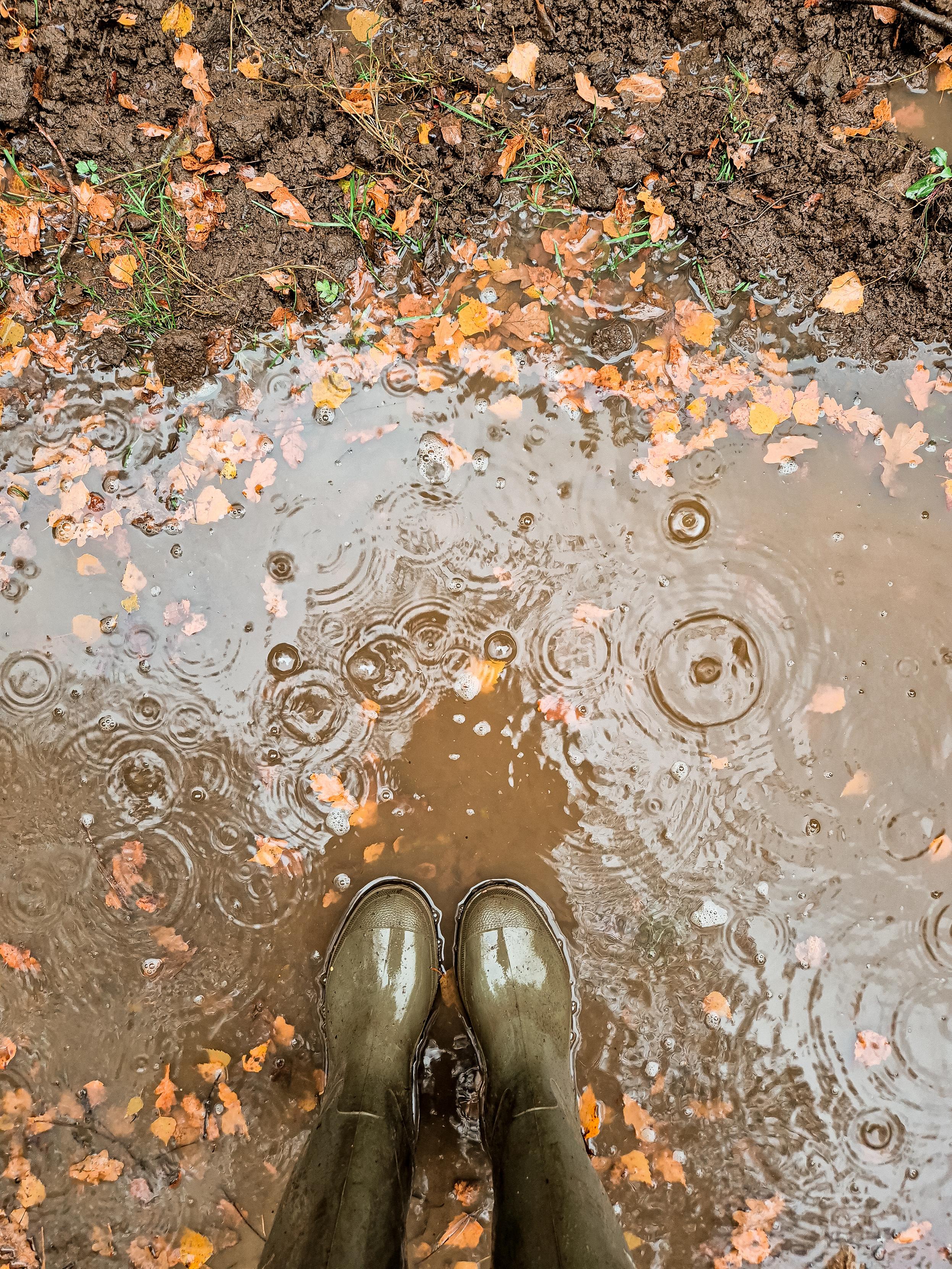 Wellies in a puddle