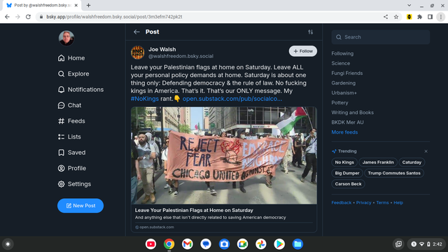 a post by Joe Walsh sayingto  leave other issues at home at #NoKings Day demos