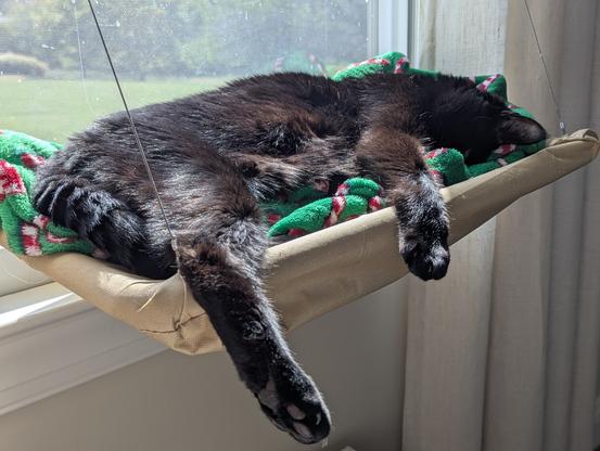 A black cat snoozes on a window bed and candycane blanket.