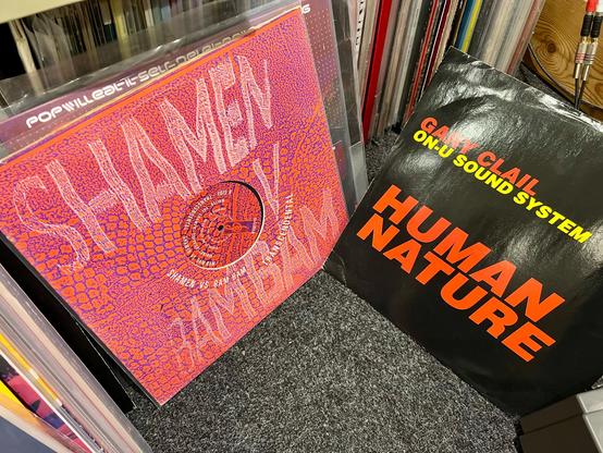 A photo of two 12” records, one next to each other. On the left is The Shamen v Bam Bam’s Transcendental, which has a kind of pink reptile skin pattern with SHAMEN V BAMBAM in a faded white text on top. The sleeve is die-cut to show the record’s label, which has the same pattern as the sleeve. On the right is Gary Clail and the On-U Sound System’s Human Nature. The sleeve is all black, with GARY CLAIL at the top in red and ON-U SOUND SYSTEM underneath in yellow and slightly smaller. At the bottom is HUMAN NATURE in big red letters. All text on this sleeve is in Helvetica Black Italic.