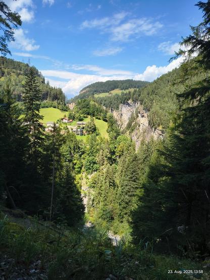Blick aus einem Wald in ein V-förmiges Tal im den Alpen. Auf der anderen Seite des Tals ein Dorf am Hang. Himmel mit ein paar Schleierwolken.