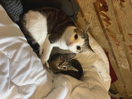 Bianca et son frère côté à côte