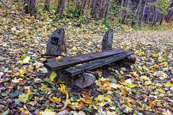 Eine schrottige Holzbank im Herbstlaub. Die Rückenbretter fehlen, die Sitzbretter sind schief, krumm und lose.
