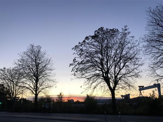 Schattenriss-Bäume vor orangen Horizont. Werftkran rechts knapp im Bild.