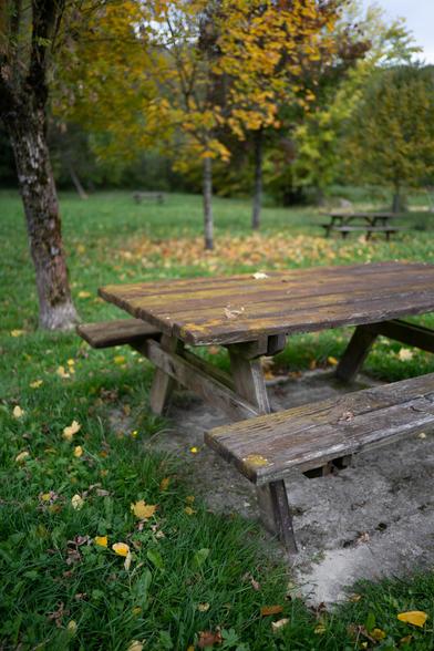 Table en bois recouverte par l'automne. Quasi-forêt, feuilles jaunes, herbe verte.