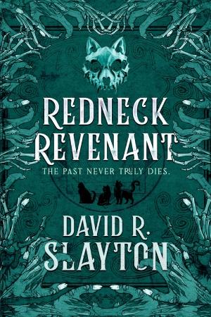 Cover of the book REDNECK REVENANT, by David R. Slayton.