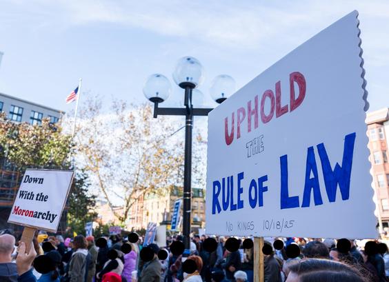 We see a crowd of protesters with two signs especially prominant above them.  One reads "Down With the Moronarchy" (all in black type except for "Moron" in red).  A larger one reads "UPHOLD the RULE of LAW no kings 10/18/25". Protesters' faces are obscured with black discs.