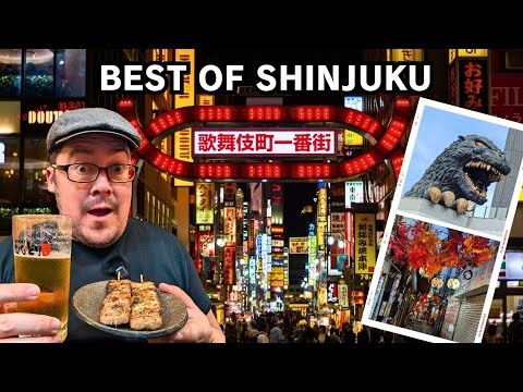 Shinjuku Japan's HIDDEN Gems Revealed